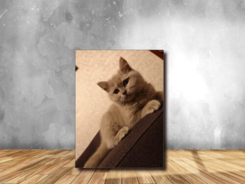 Tablou Canvas personalizat